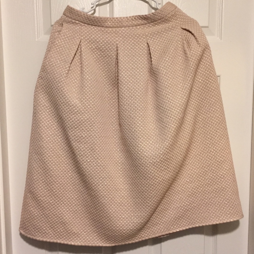 H&M Blush Pink Skirt with Gold Threading